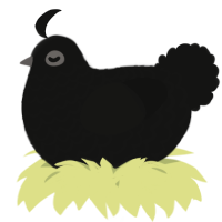 A black chicken with a lace pattern