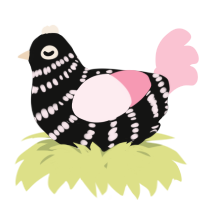 A black and rose chicken with a bar pattern