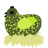 Kichi, a olive and lime chicken with a speckle pattern