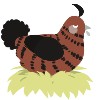 A russet and sable chicken with a bar pattern