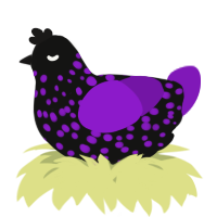 A black and violet chicken with a speckle pattern