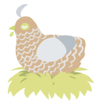 A beige and mist chicken with a lace pattern