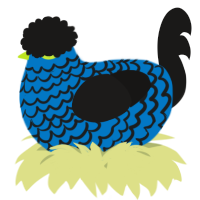 A sapphire and sable chicken with a lace pattern