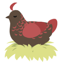 A bark and red chicken with a half-lace pattern