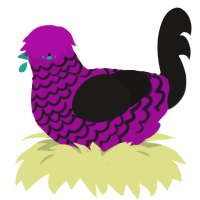 Dance Pants, a plum and sable chicken with a lace pattern