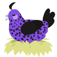 A blurple and sable chicken with a speckle pattern
