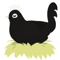 A sable chicken with a half-lace pattern