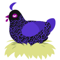 A black and indigo chicken with a double-lace pattern