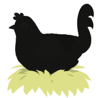 A black chicken with a lace pattern
