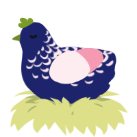 A navy and rose chicken with a half-lace pattern