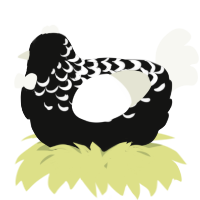 A black and white chicken with a half-lace pattern
