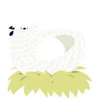 A white chicken with a lace pattern