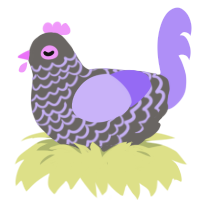 Larry, a grey and lilac chicken with a lace pattern