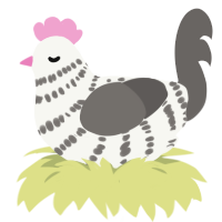 A white and grey chicken with a bar pattern