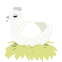 A white chicken with a lace pattern