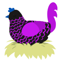 A sable and amethyst chicken with a lace pattern