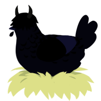 The Nameless, a white chicken with a half-lace pattern