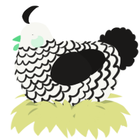 A white and sable chicken with a lace pattern