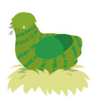 brusela, a chartreuse and viridian chicken with a bar pattern