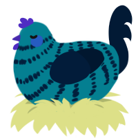 BerryFields, a sea and tumblr chicken with a bar pattern