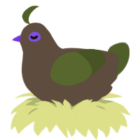 avocado, a bark and olive chicken