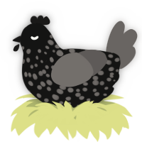 A black and grey chicken with a speckle pattern