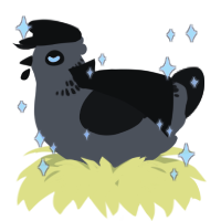 A grey and sable chicken with a neck-band pattern