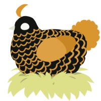A black and orange chicken with a lace pattern