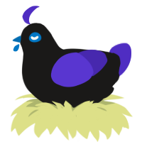 Nitesteria, a sable and indigo chicken