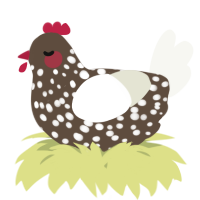 A bark and white chicken with a speckle pattern