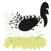 A white and sable chicken with a half-lace pattern
