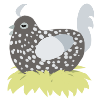 A grey and mist chicken with a speckle pattern