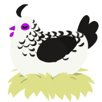 Sumi, a white and sable chicken with a half-lace pattern
