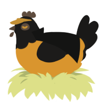 N, a orange and sable chicken with a head pattern