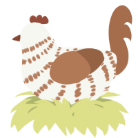 A white and brown chicken with a bar pattern