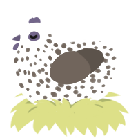 (unnamed), a white and bark chicken with a speckle pattern