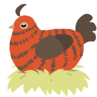 A vermilion and bark chicken with a bar pattern