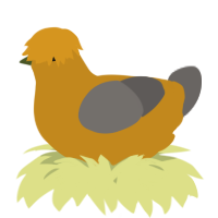 A ochre and grey chicken