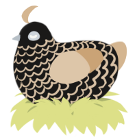 A sable and beige chicken with a lace pattern