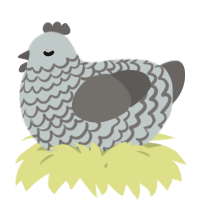 A silver and grey chicken with a lace pattern