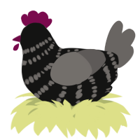 A black and grey chicken with a bar pattern