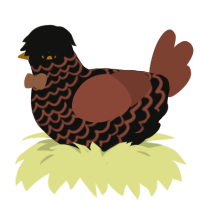 Feu de Joie, a black and russet chicken with a lace pattern