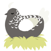 gossamer, a grey and white chicken with a half-lace pattern