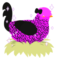A orchid and black chicken with a double-lace pattern