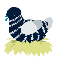 Silent Night, a tumblr and mist chicken with a bar pattern