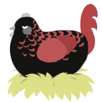 A black and red chicken with a half-lace pattern