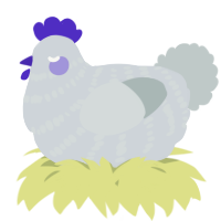 A mist and silver chicken with a bar pattern