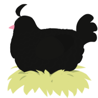 A black chicken with a lace pattern