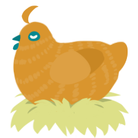 Jants the Jr, a orange chicken with a bar pattern
