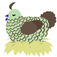 A gluppy and bark chicken with a lace pattern